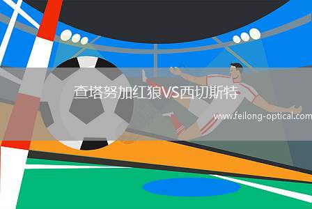 查塔努加红狼VS西切斯特