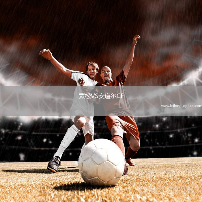 蒙松VS安道尔CF