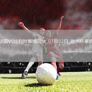 07月02日欧洲杯1/8决赛法国vs比利时精彩片段