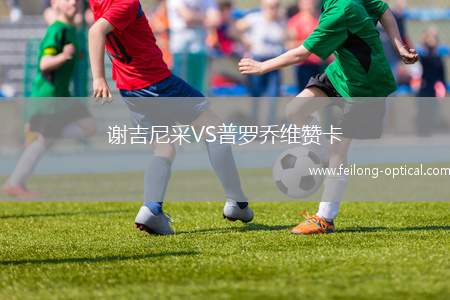 谢吉尼采VS普罗乔维赞卡