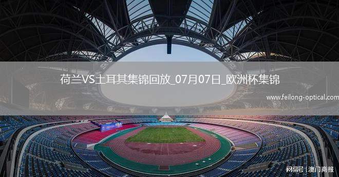 07月07日欧洲杯1/4决赛荷兰vs土耳其精彩片段
