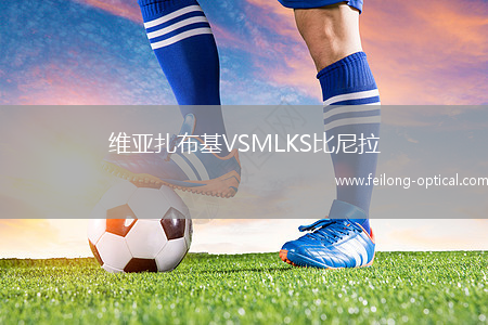 维亚扎布基VSMLKS比尼拉